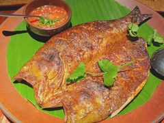 -花马天堂云南餐厅 Lost Heaven(外滩店)