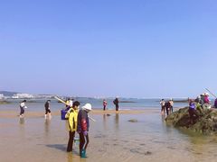 -日照世帆赛基地