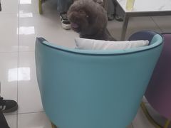 -北京观赏动物医院·24小时大型综合·猫专科·异宠专科