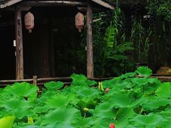 -驿舍·民國老营房院子私房菜(科学会堂店)