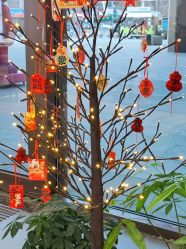 -Cindy Jewelry·钻戒·彩色宝石