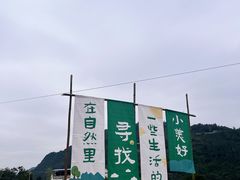 -后柳水乡