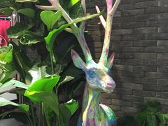 -茶理宜世(东方宝泰店)