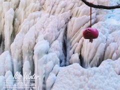 -黑龙潭风景区