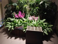 -名护雷桑力斯酒店