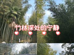 -黄公望隐居地