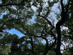 -普陀山风景名胜区-法雨禅寺
