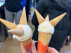 -极拉图·现制冰淇淋(大卫城店)