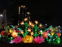 -锦江乐园舞狸花花游园会(夜场专享)