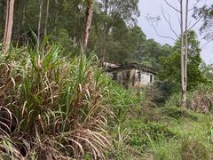 -黄埔油麻山森林公园