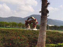 -亚龙湾国际玫瑰谷