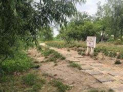 -绿堤公园