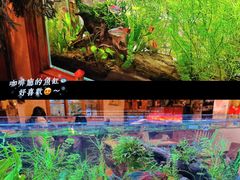 -懒鱼时光馆(沙坪坝店)