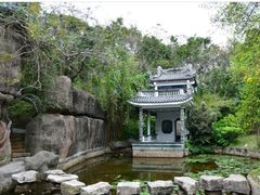 -深圳国际园林花卉博览园