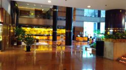 点击看大图 -锦江饭店·锦江小礼堂·宴会厅