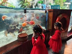 -太平洋海底世界