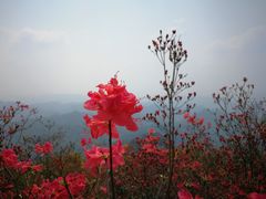 -十九峰景区-倒脱靴