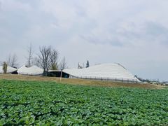 -中国天府农业博览园