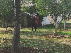 -堤角公园