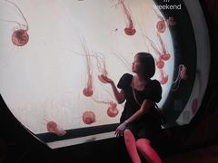 -沈阳海洋探索中心