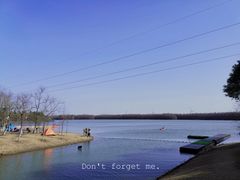 -上海海湾国家森林公园