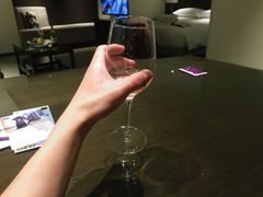 -深圳东门凯悦嘉轩酒店
