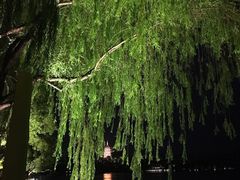 -杭州西湖柳莺里酒店·闻莺厅