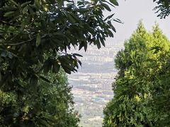 -八大处公园