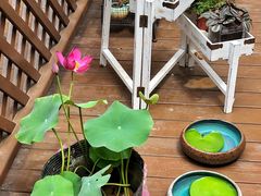 -ChaKo Flora ·茶子花艺 (市北店)