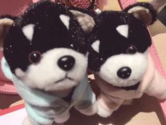 -PAWTOY爪e玩偶店(天兴罗斯福店)