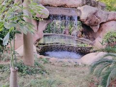 -金穗园温泉酒店