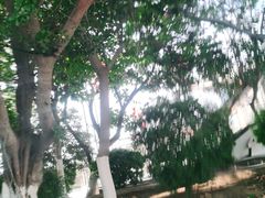 -石狮世茂摩天城摩天轮