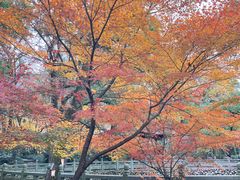 -阿育王寺