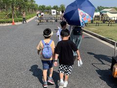 -春花秋色城市公园