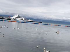 -青海湖国家重点风景名胜区