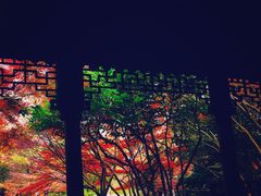 -秋霞圃