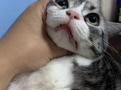 -GODIVA(港汇恒隆广场)