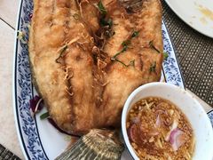 -卷心菜和避孕套餐厅(Pattaya)