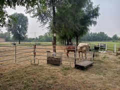 -北京群众马术培训基地