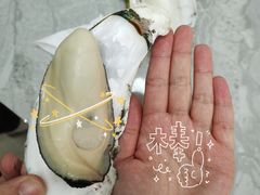 -蚝专家(北滘店)