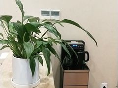 -Banana本娜娜·按摩养生SPA(上海湾店)