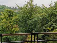 -雅安楠水阁温泉酒店