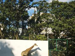 -昆明动物园