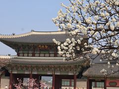 -景福宫