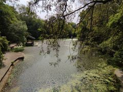 -善卷洞风景区