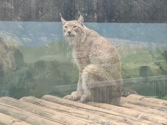 -昆明动物园