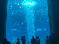 -亚特兰蒂斯•OSSIANO奥西亚诺海底餐厅