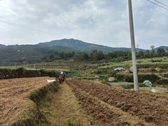 -大姆山草场