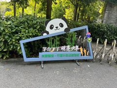 -都江堰中华大熊猫苑