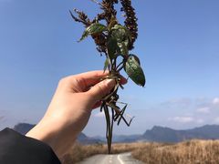 -山王坪喀斯特国家生态公园